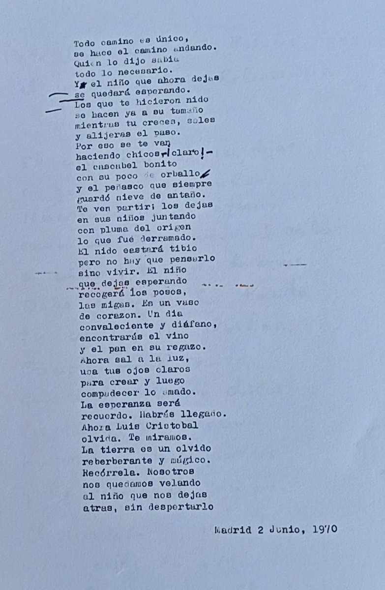 Luis Rosales Fouz (@luisrosalesfouz) on Twitter photo 