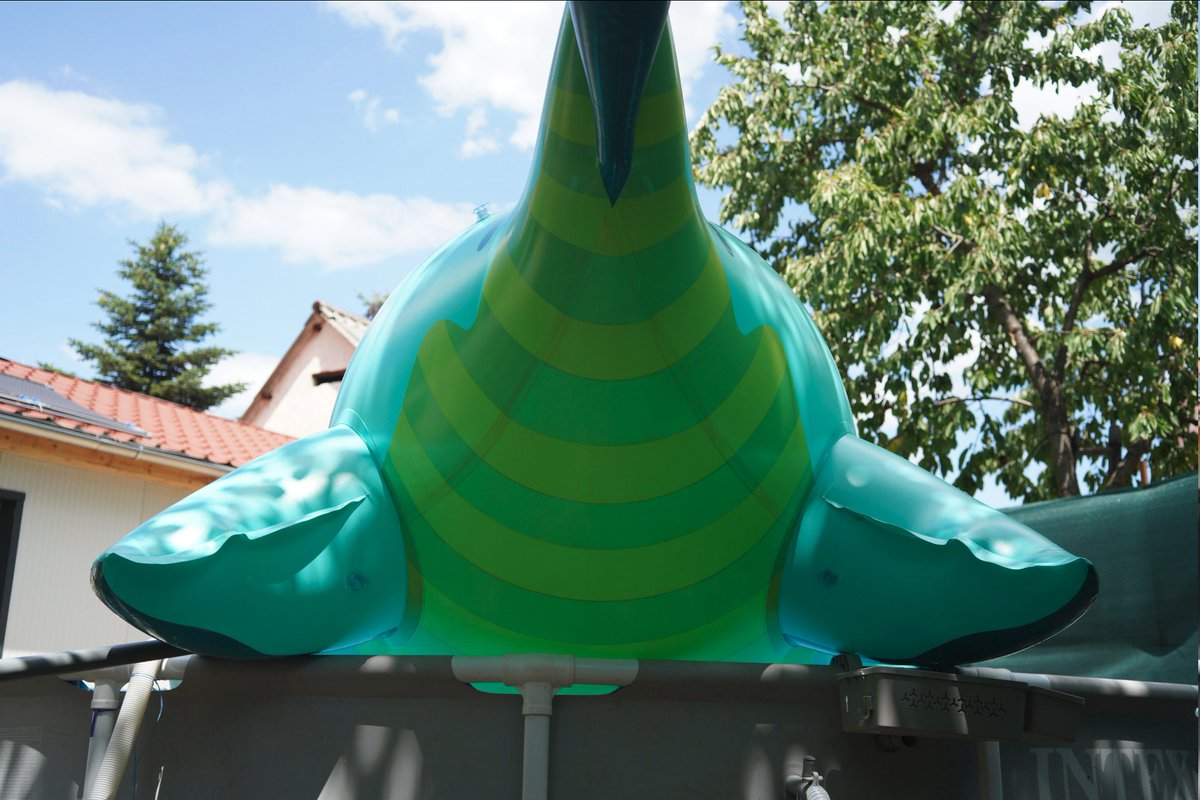 milvusbuteo's tweet image. Guess who&apos;s back! 
Lord Seachonk of beachball