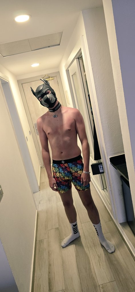 Smart puppy vs sexy puppy, which do u prefer? 😝