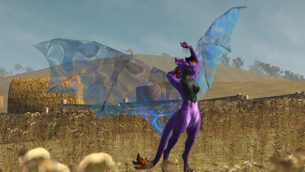 RuuuuneAD tweet media