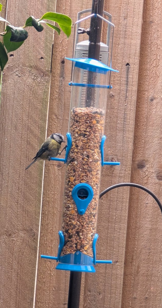Feeding time