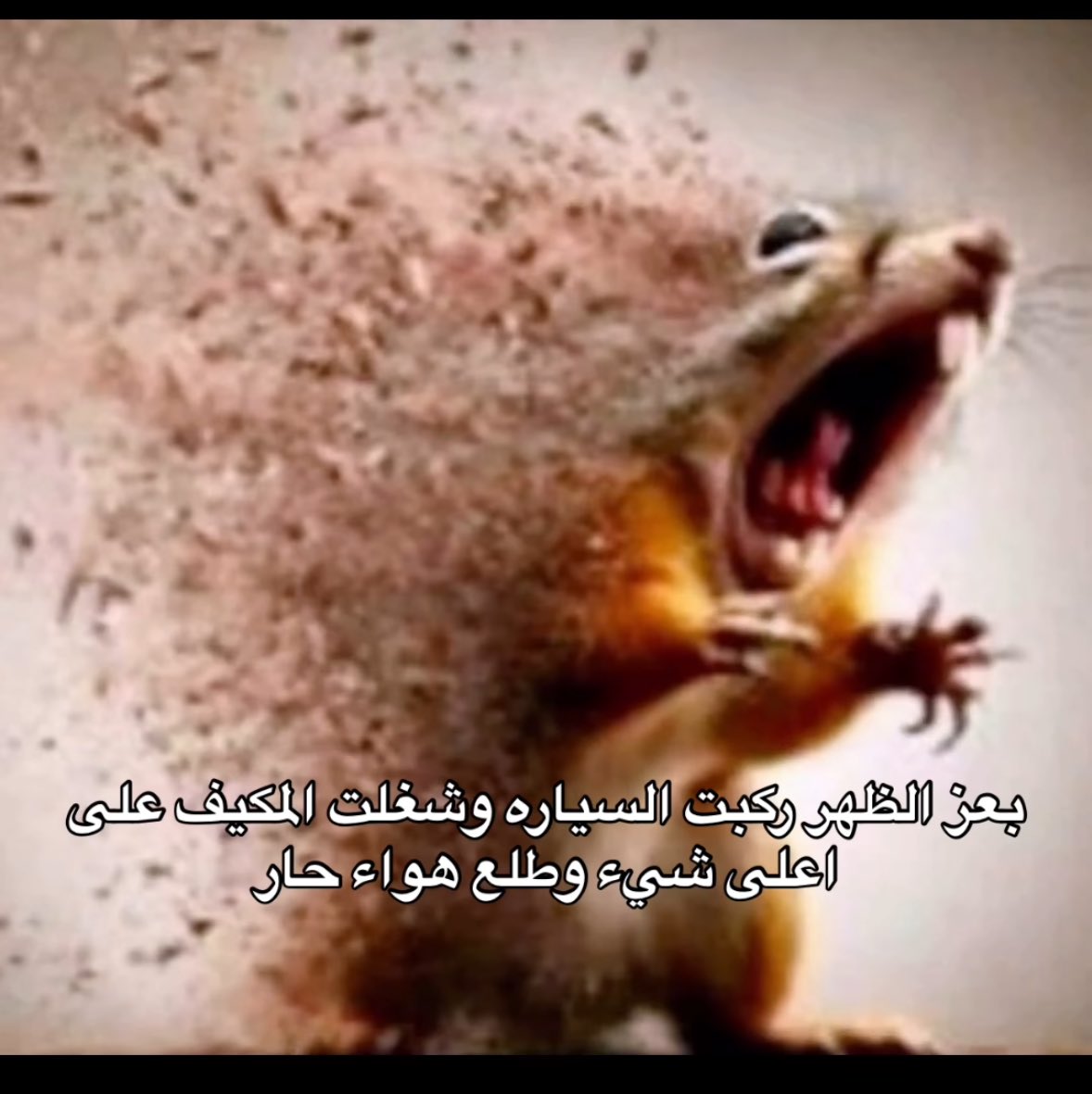 abdulrahman tweet media