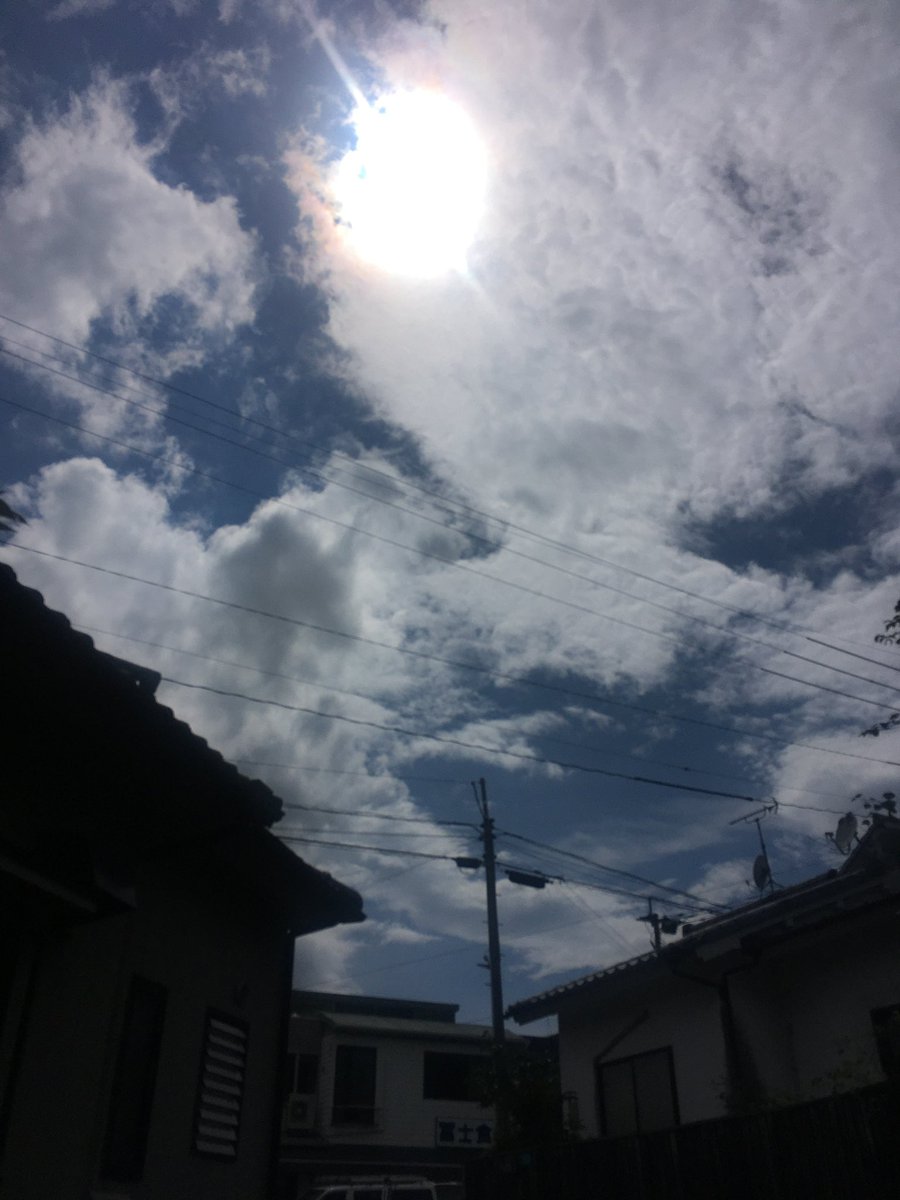 mii (@y1vly) on Twitter photo 