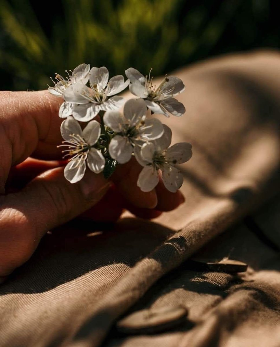 Sensiz yok olmaktan korktuğum için, senin beni yok etmene izin veriyorum!....
Hepsi bu işte...