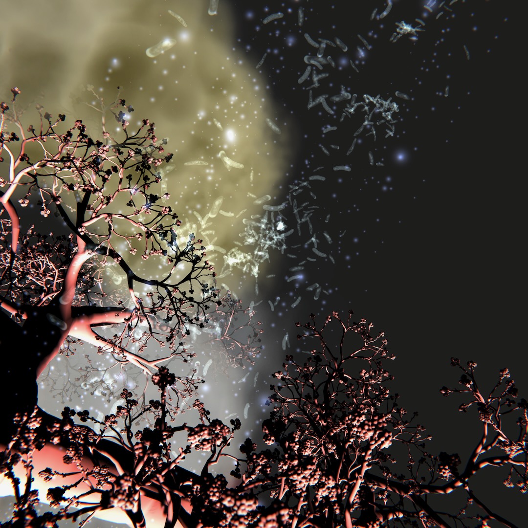 AnnaDumitriu's tweet image. I'm pleased to share a new NFT artwork on
@objktcom a still from my digital artwork "Susceptible" based on data visualisations of interactions between antibiotics, bacteria, international flight data and a forest of lung tissue. Collaboration Anna Dumitriu X @alexmayarts