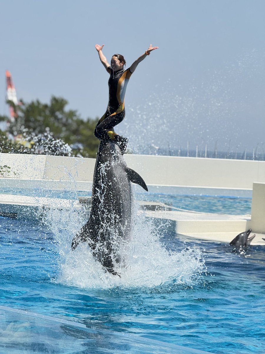 sa___eho's tweet photo. @Kobe_SumaSea 
須磨シーパラダイスのイルカショー、オルカしょーとても良かったです！
開園1年経過しても、どのショーも毎回満員で観覧制限があるのはすごいなーと思いました。👏
また行きたいです！ https://t.co/7CFRcdfqRX