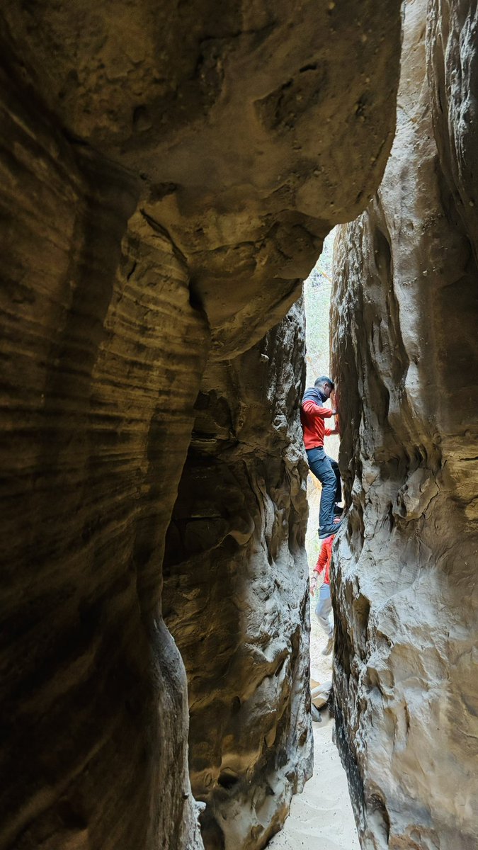 متعب | AlUla tweet media