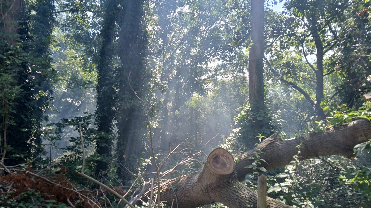 Clash of the titans goes ths way of Bristol based visitors who head to HQ full of confidence after nearby bushfire threatens play.