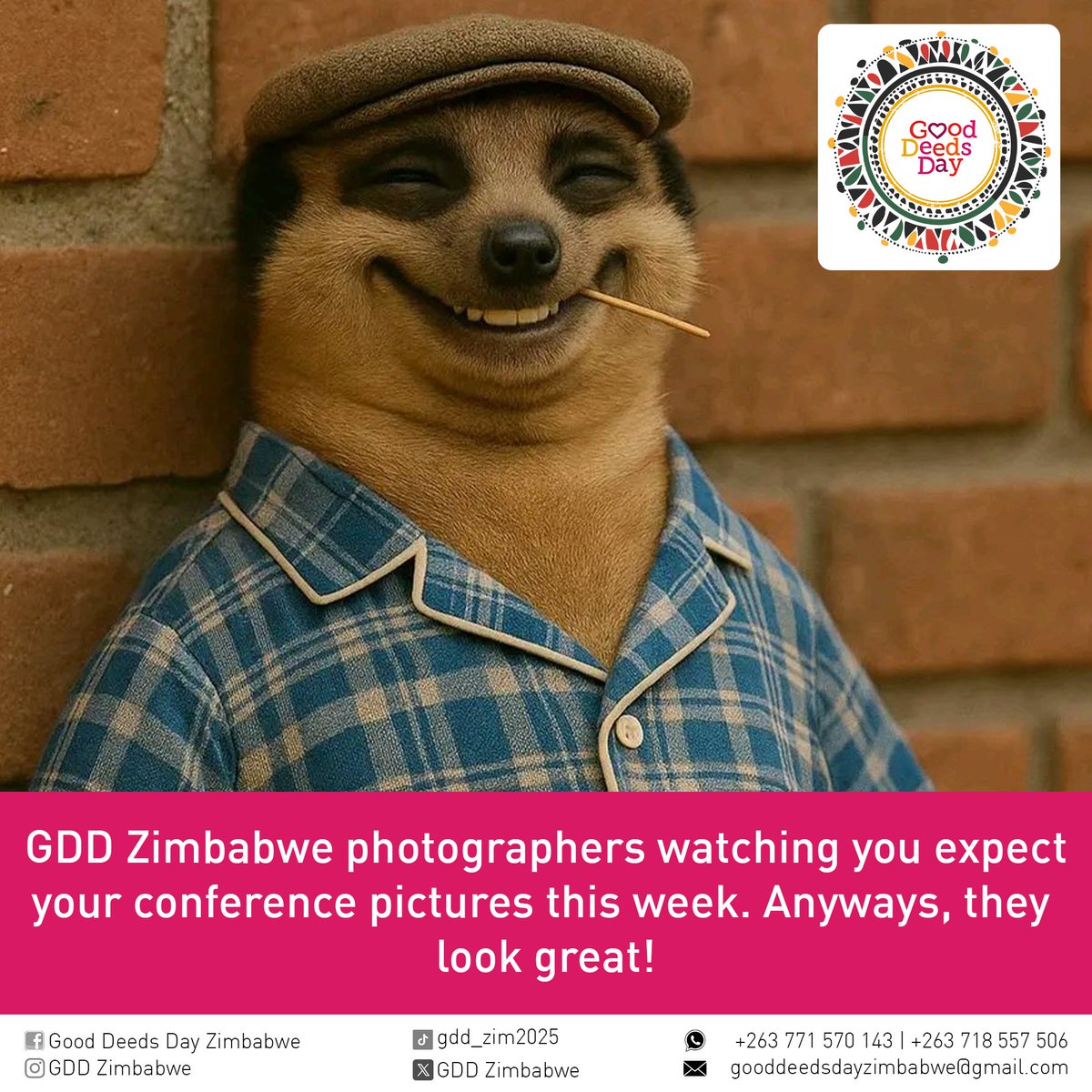 Lol! #gooddeedsdayzimbabwe2025 #gooddeedsdayconference2025