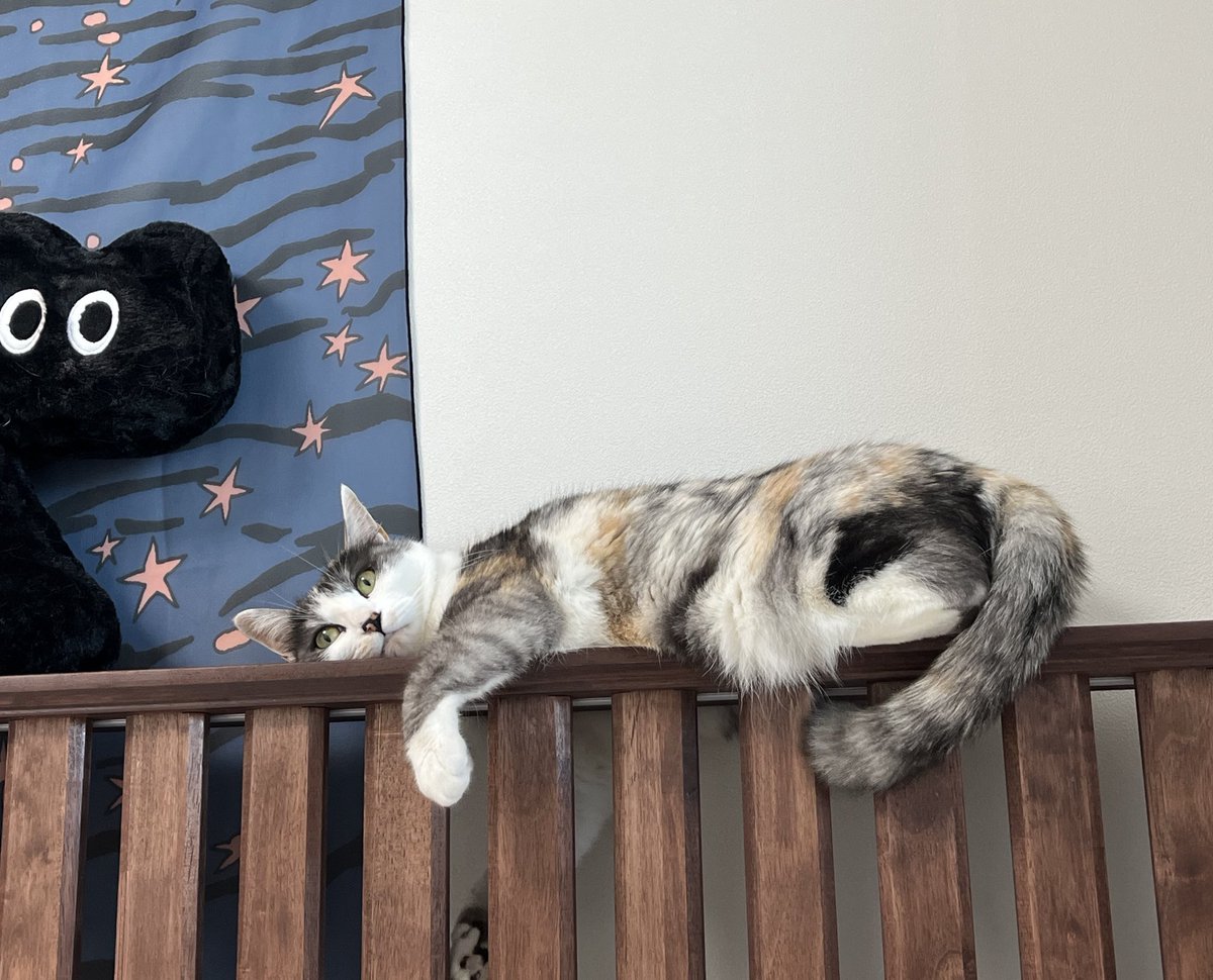 이소록 (@leesorock) on Twitter photo 