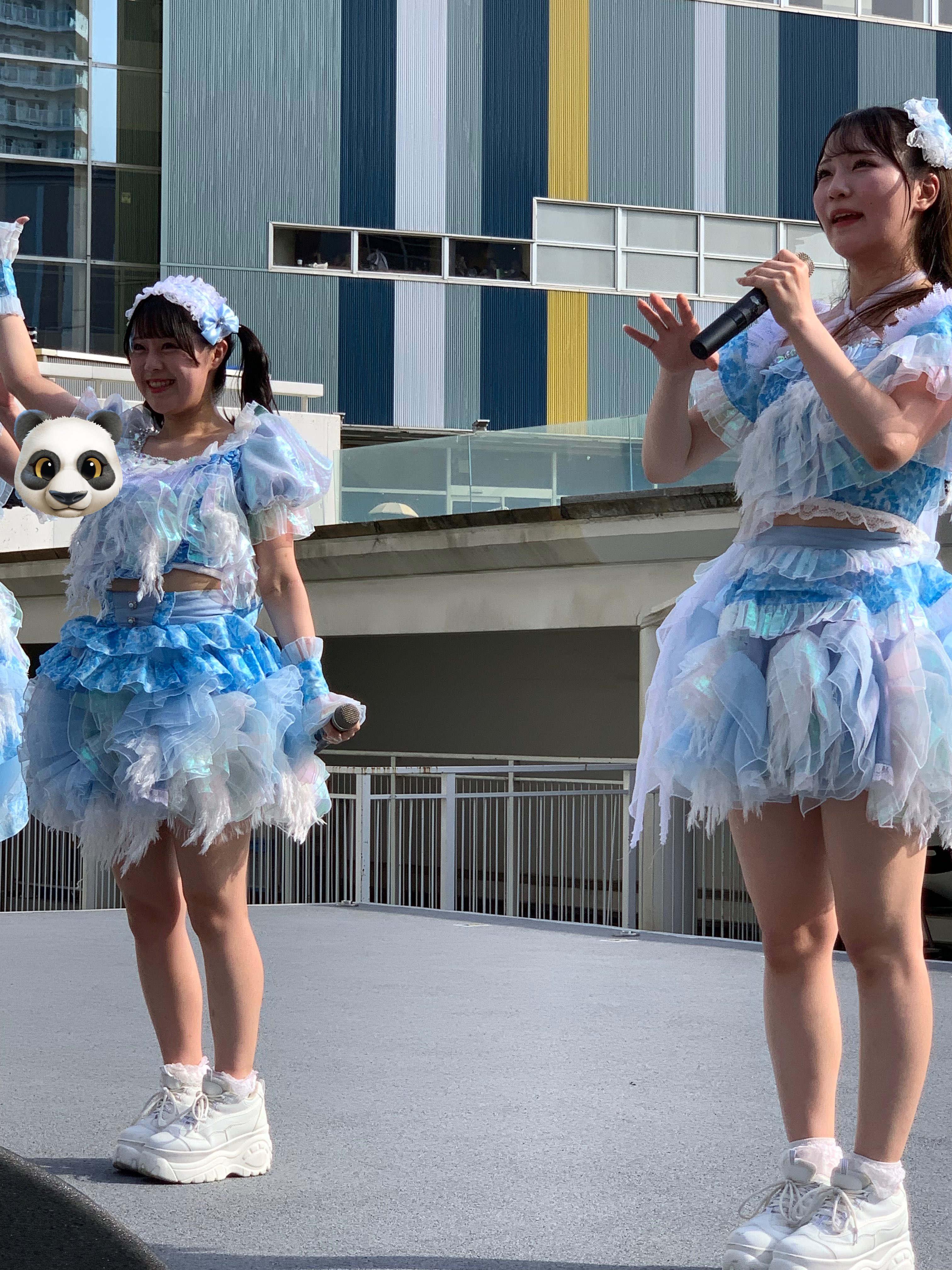 せっちゃん on X: 