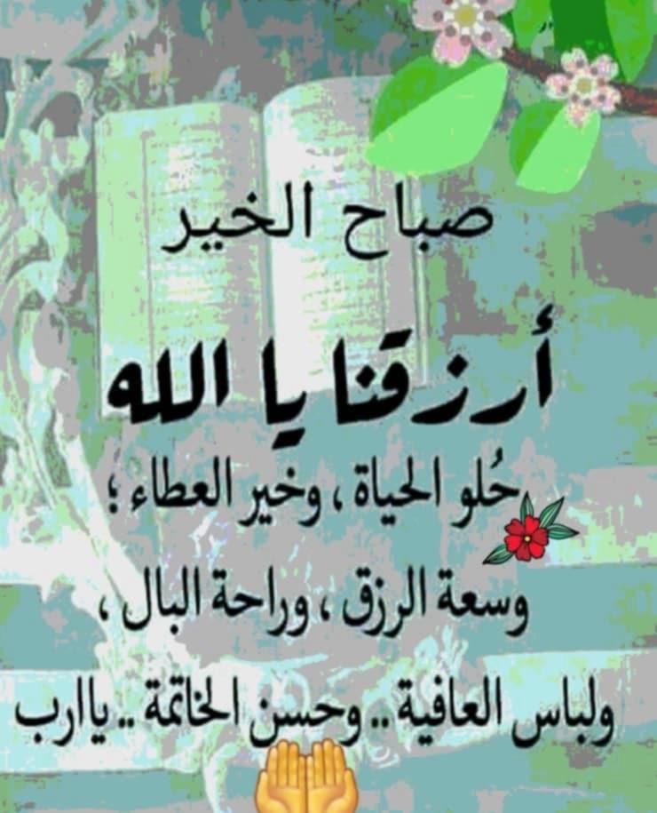 QysrQsr's tweet photo. @Aray579233727 https://t.co/T9AEQxOqvh