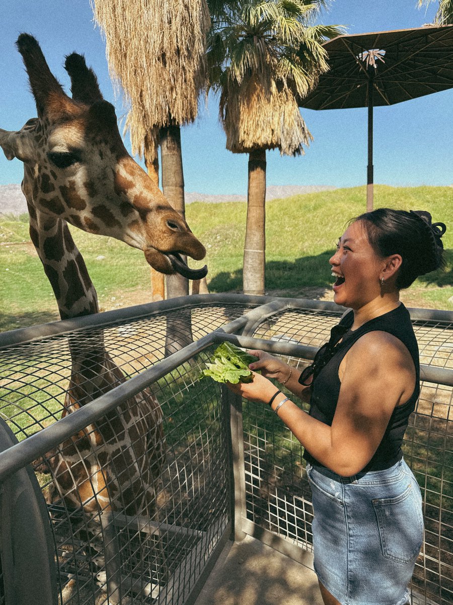 JAY-MEE! tweet media