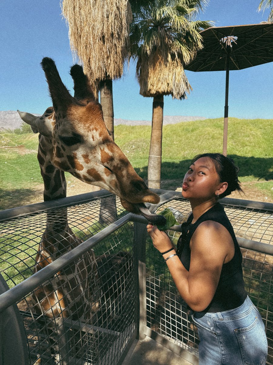 JAY-MEE! tweet media