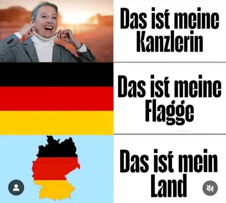 🇩🇪💙Mario Gallego Rodriguez🇩🇪💙 #Remigration tweet media