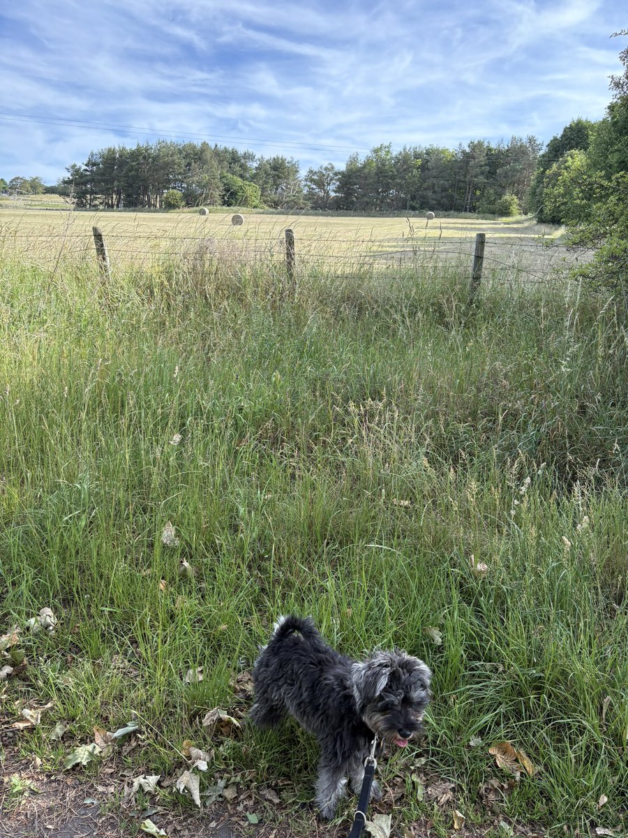 Sunday mornings like this….