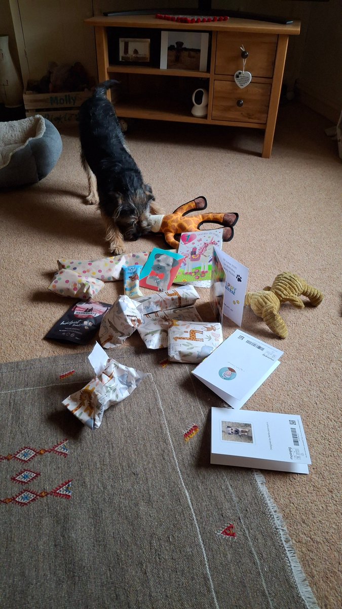 Molly Pickle CBE tweet media