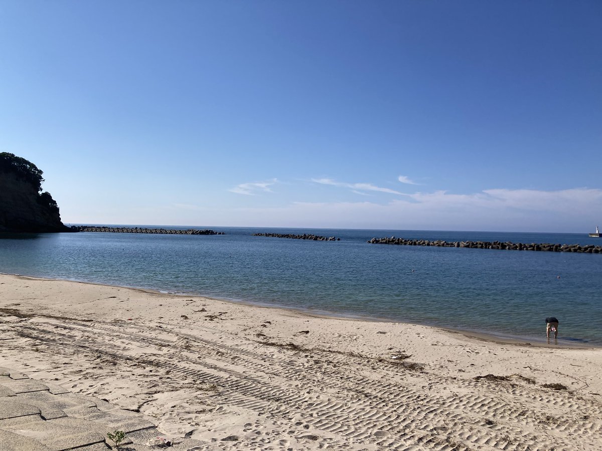 海に来た
泳いでる人もいた