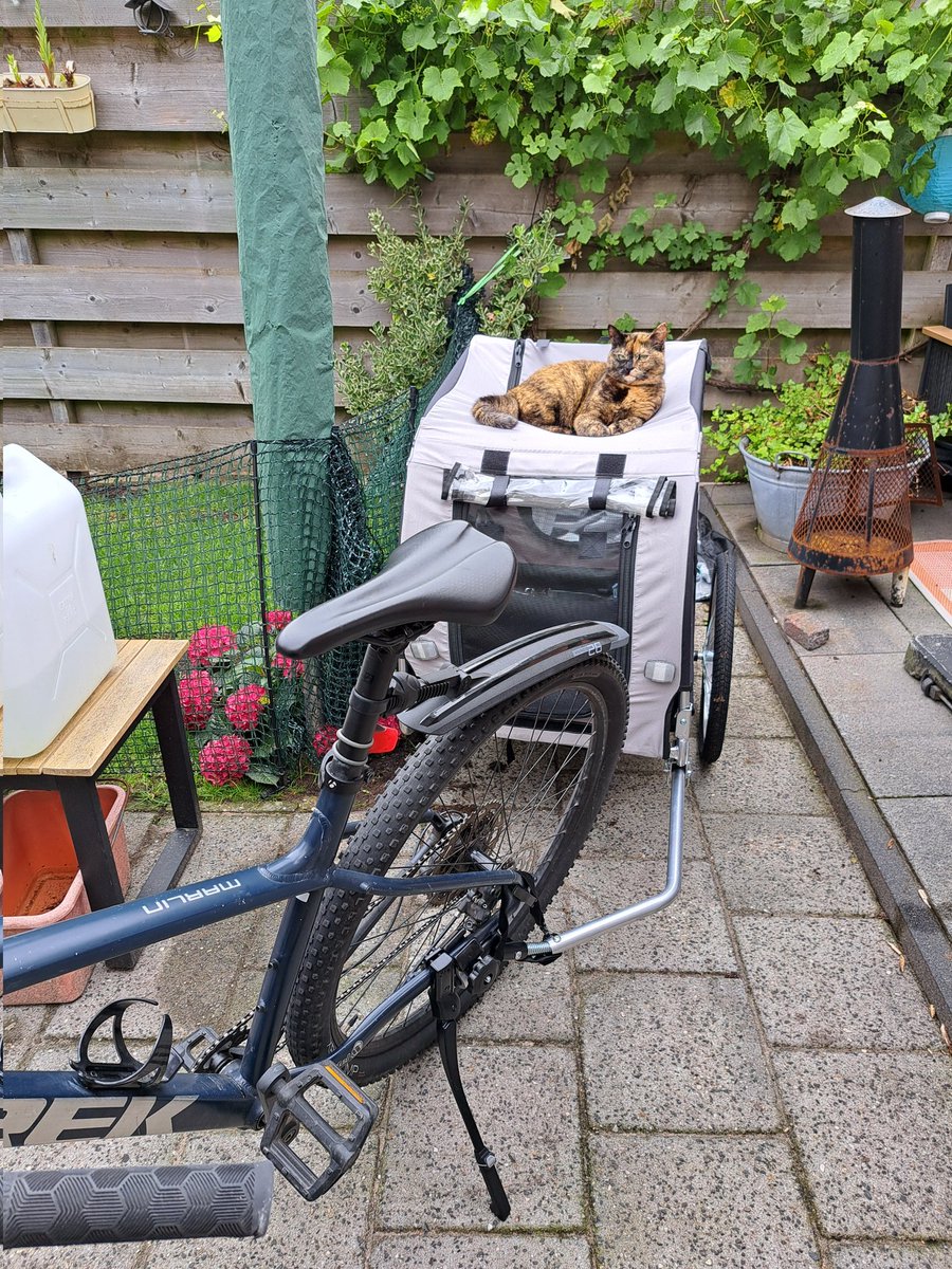 Hondenkar gekocht