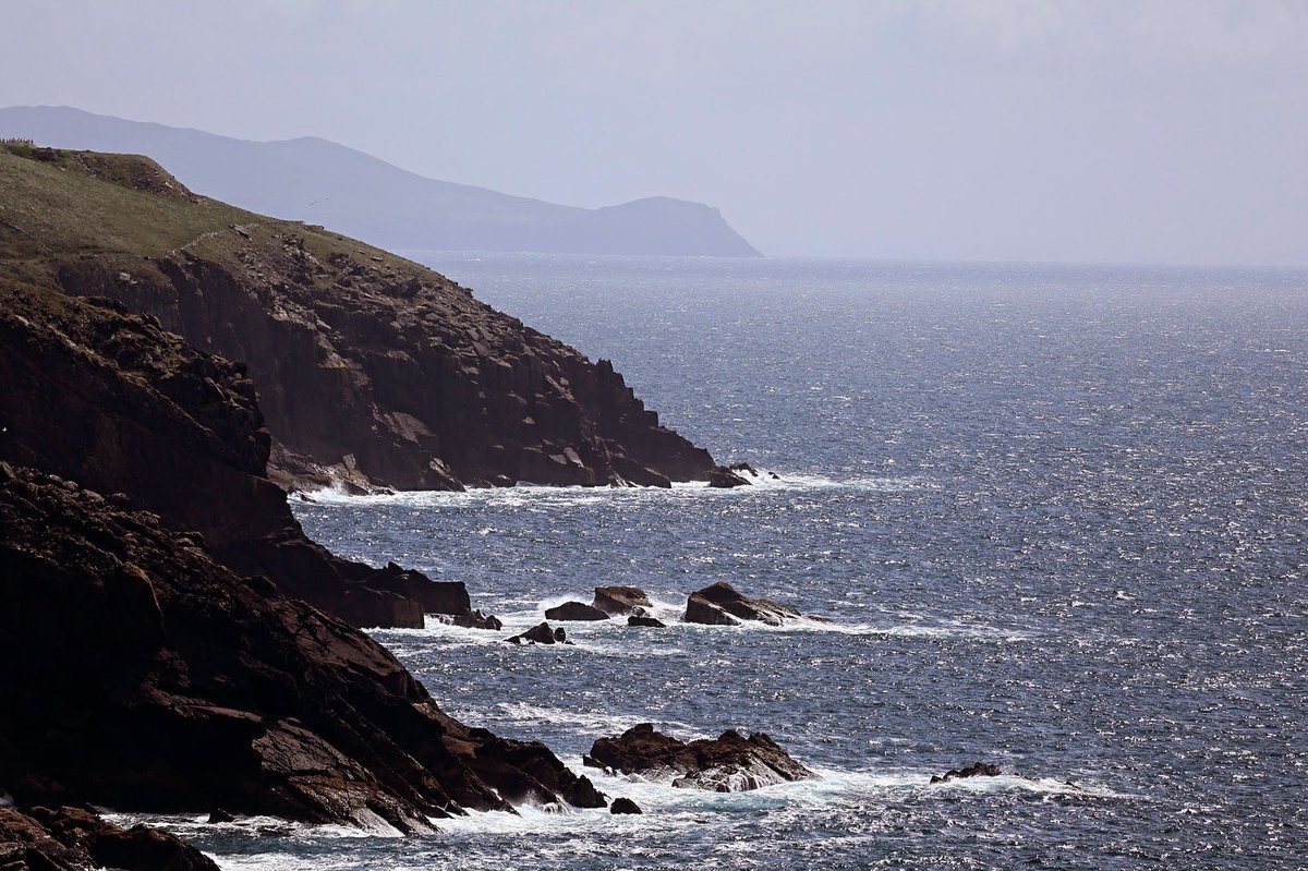 DJurczakOP's tweet image. I jeszcze raz #Dingle