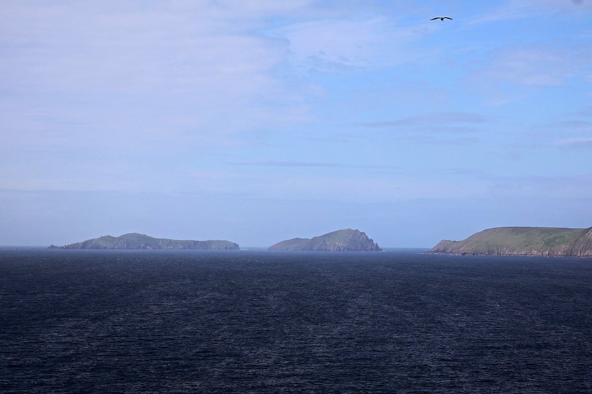 DJurczakOP's tweet image. I jeszcze raz #Dingle
