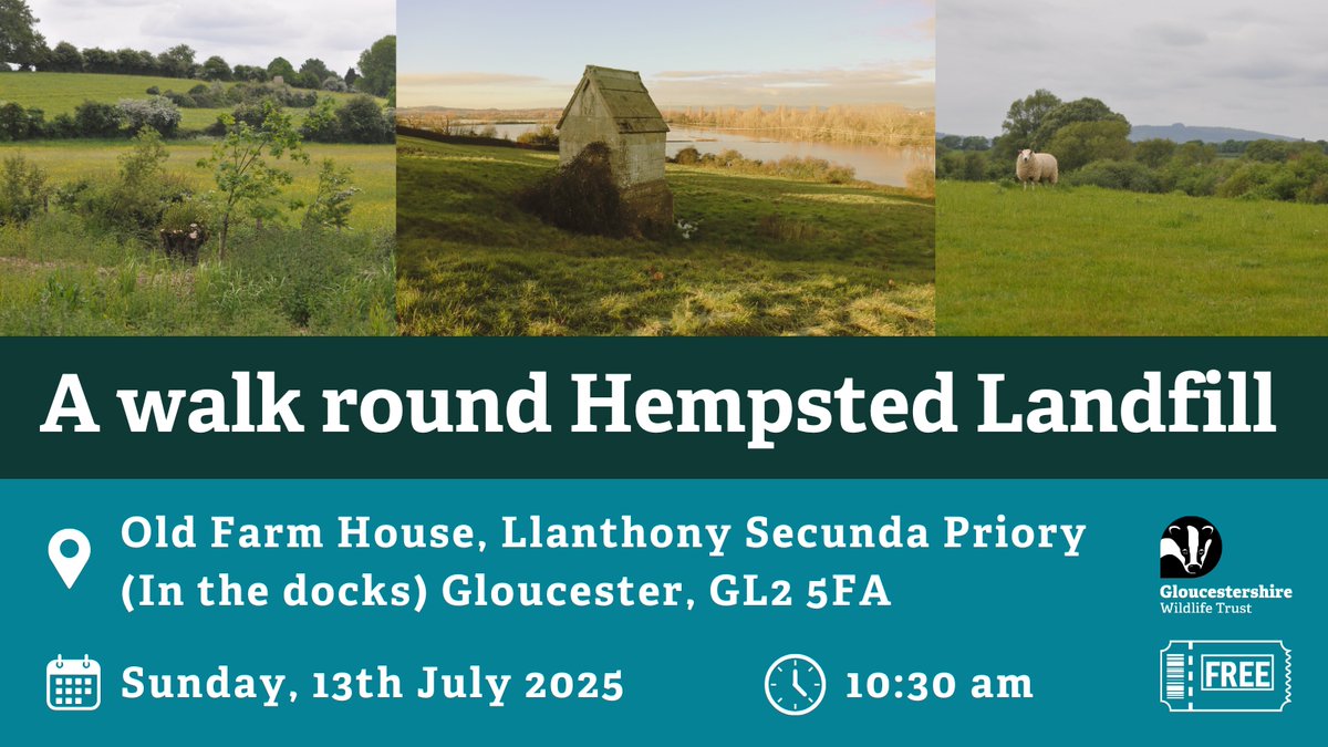 gloswildlife's tweet image. ♻️ 50 years of rubbish — now transformed! Join us for a fascinating 4.5-mile walk along the River Severn and past the now-capped Hempsted Landfill.

👟 Free to attend, but booking is essential:

👉 gloucestershirewildlifetrust.co.uk/events/2025-07…

#HempstedWalk #GloucesterOutdoors #FreeWalks