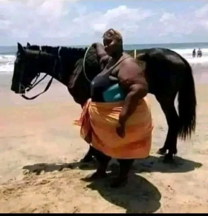 What advice would you give this horse? 😳