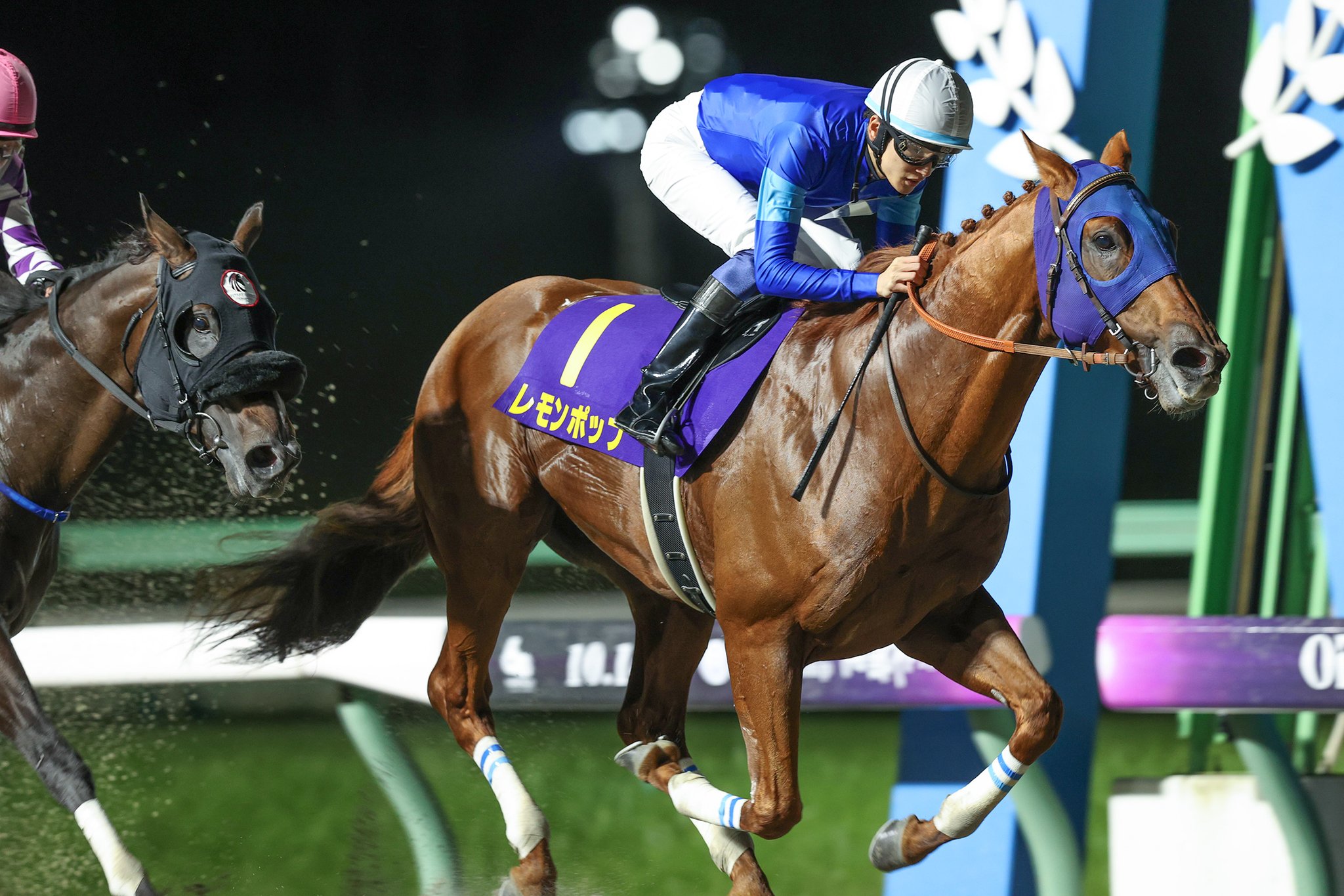 Yahoo!オークション -「victory」(競馬) (トレーディングカード