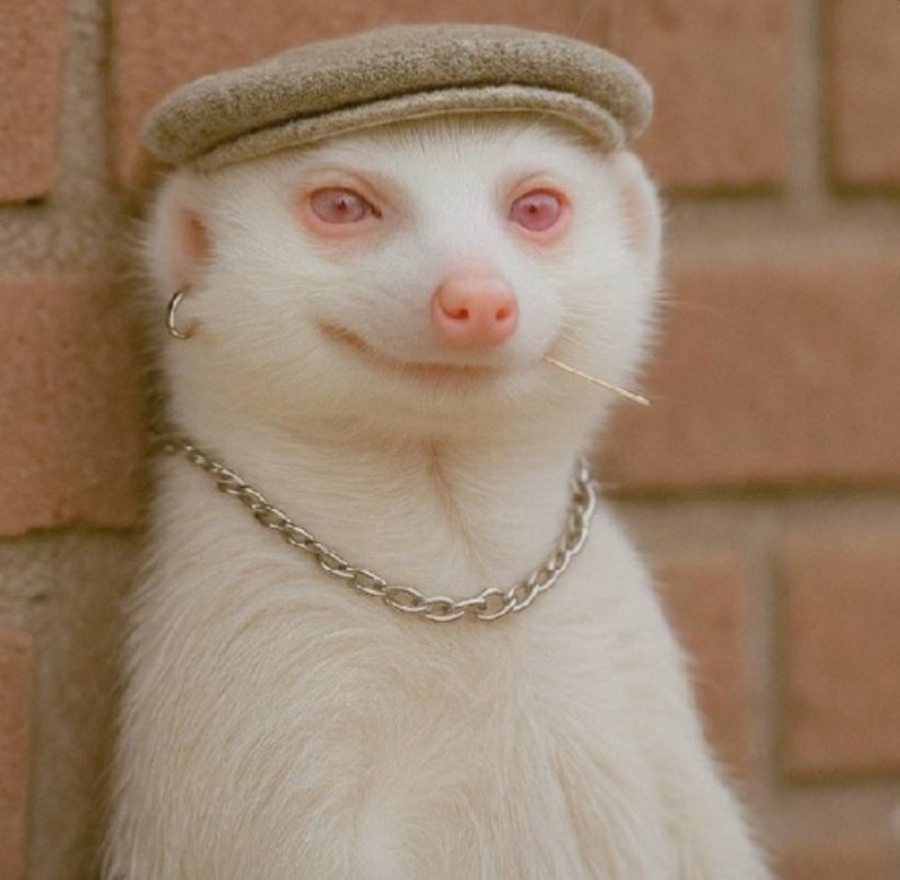 Next Sunday at this time we shall be preparing to go for #LuxeInBlanc at Vybz Lounge instead of going to Church