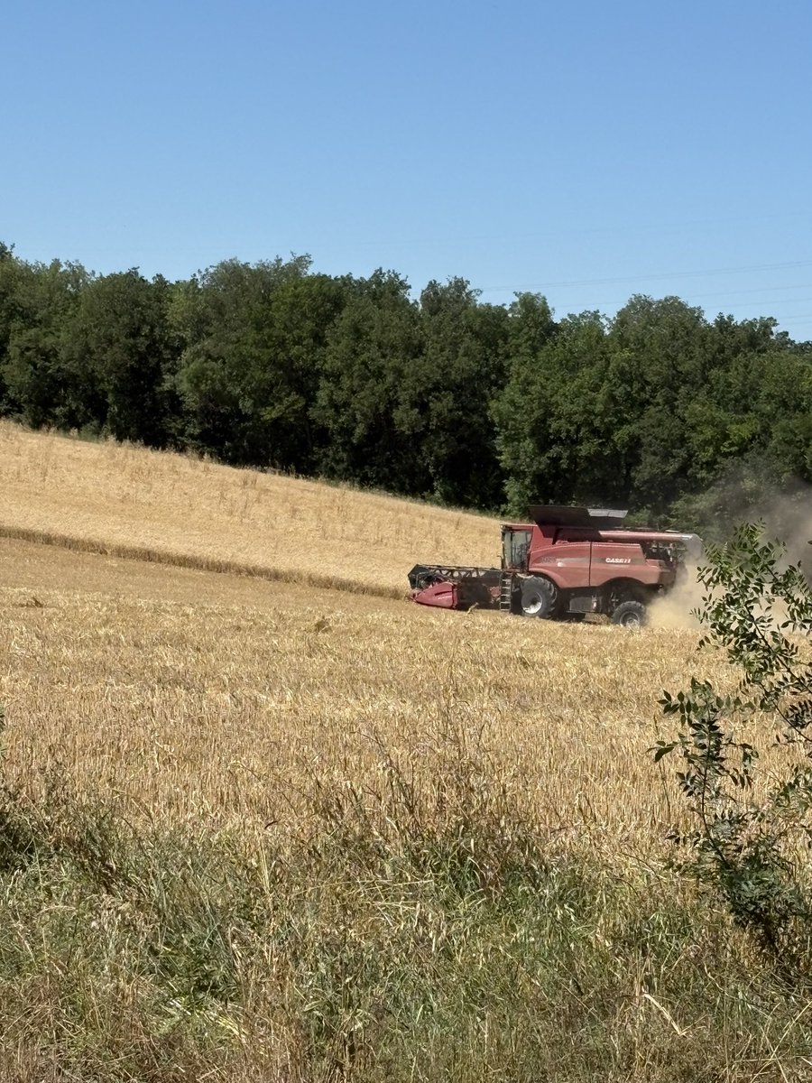 mar_aude11's tweet photo. Dernière benne de blé 🌾 de notre carrière d agriculteurs une page se tourne https://t.co/87CYlYTZyL