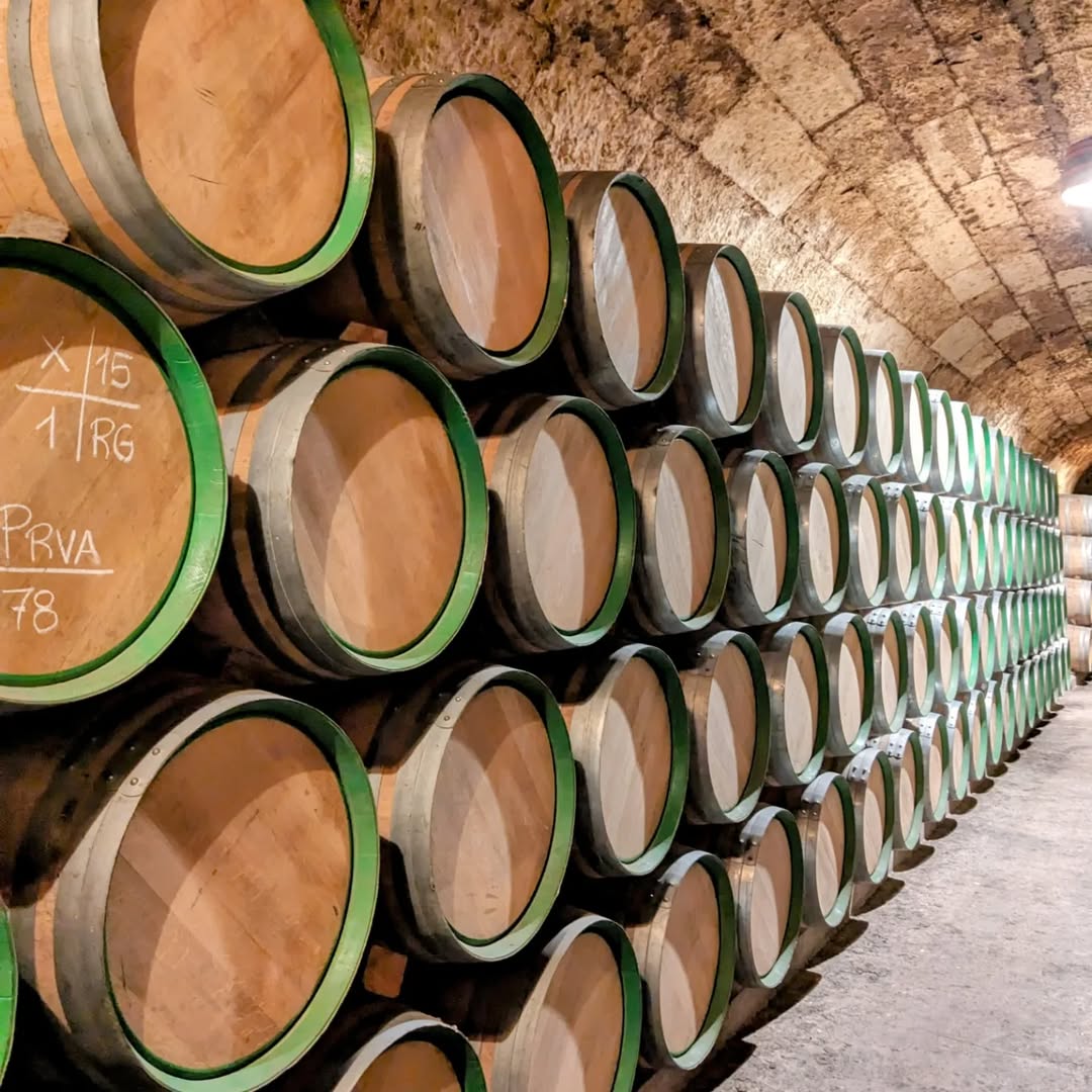 Álava Turismo (@turismoalava) on Twitter photo ¡Rioja Alavesa se ha convertido hoy en día en uno de los destinos de turismo enológico de referencia a nivel mundial! 🍇
Gaur egun, Arabako Errioxa erreferentziazko turismo enologikoaren helmuga bihurtu da mundu osoan! 🍇
📍 <a href="/marquesderiscal/">Marqués de Riscal</a>
📸 maria210j ¡Rioja Alavesa se ha convertido hoy en día en uno de los destinos de turismo enológico de referencia a nivel mundial! 🍇
Gaur egun, Arabako Errioxa erreferentziazko turismo enologikoaren helmuga bihurtu da mundu osoan! 🍇
📍 <a href="/marquesderiscal/">Marqués de Riscal</a>
📸 maria210j