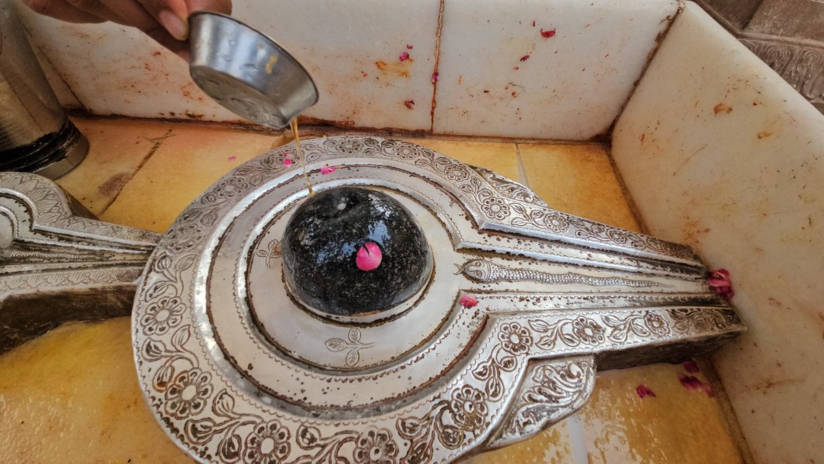 ShriVishwanath's tweet photo. ॐ सूर्याय नम:

रविवार भगवान सूर्य की आराधना को समर्पित है , इसी क्रम में श्री काशी विश्वनाथ धाम में भगवान सूर्य द्वारा लिंग स्वरूप में स्थापित " सूर्येश्वर शिवलिंग " की आराधना पंचामृत से की गई। भगवान सूर्य की पूजा करने से व्यक्ति को कई लाभ मिलते हैं, जैसे ,बल, बुद्धि, यश, और अच्छी सेहत भी , साथ ही सूर्य देव की पूजा से नकारात्मक प्रभावों से मुक्ति मिलती है और सकारात्मक ऊर्जा का संचार होता है।

।।श्री काशीविश्वनाथो विजयतेतराम।।
#kashivishwanath #kashi #sanatandharma #VishwanathDham