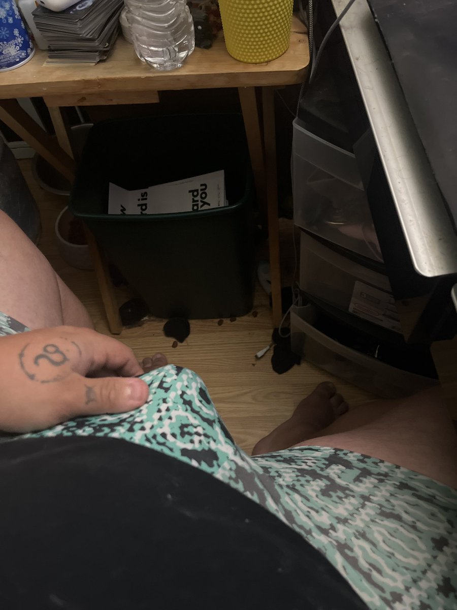 PupHowlite's tweet image. 