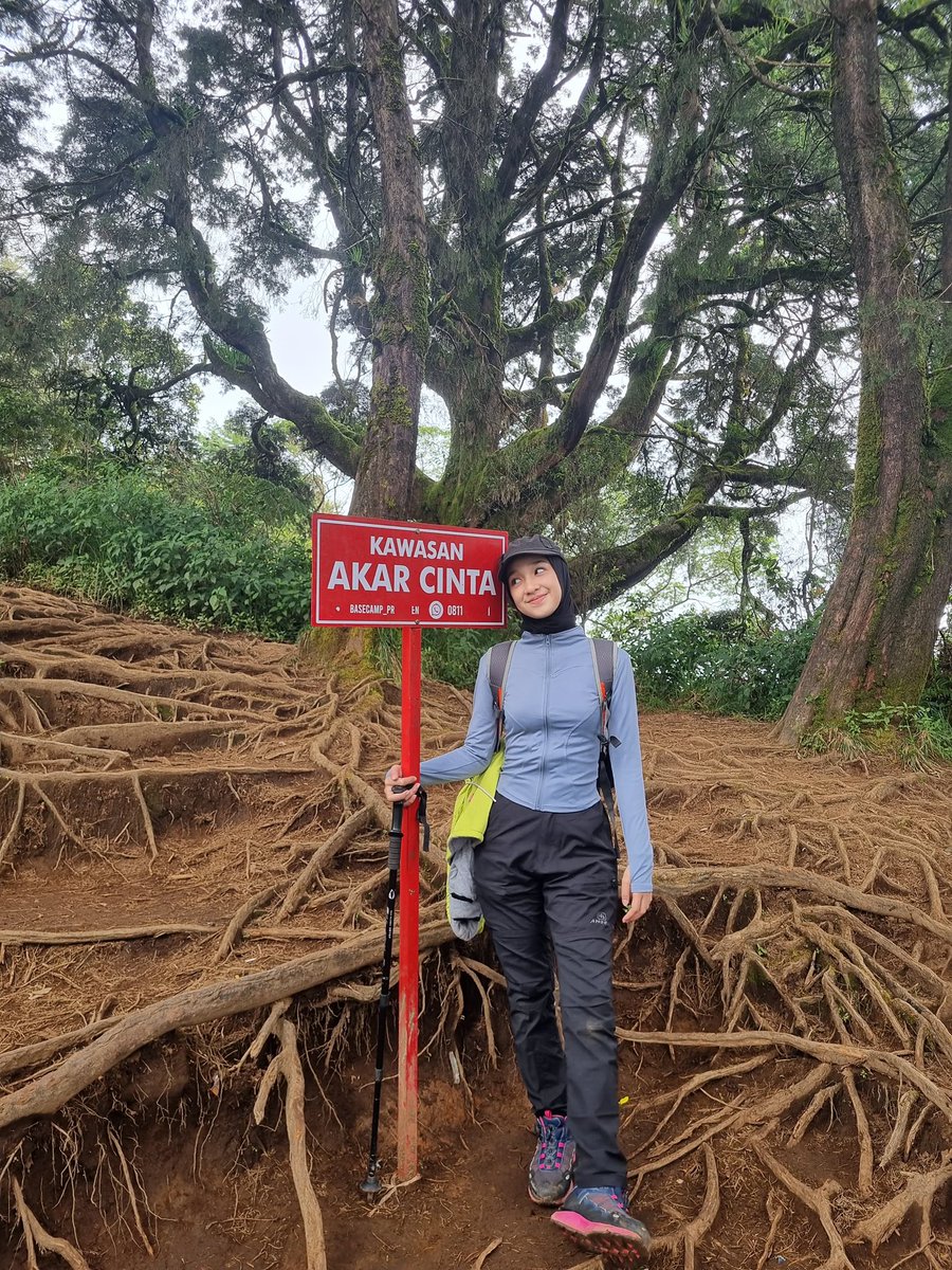 unajaee's tweet photo. 😆⛰️🌳🐾 https://t.co/fNLAlrMR2w