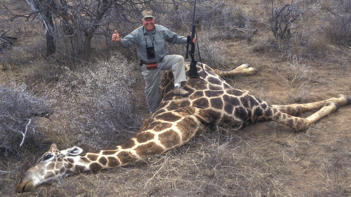 #ThoughtForTheDay 

"Sport is fair. Sport is consensual. If Trophy Hunting was a sport the animal would know it was involved. It would also shoot back. Cowards!" ~ @RickyGervais.

SHARE if you want a GLOBAL ban on #TrophyHunting NOW!  🚫