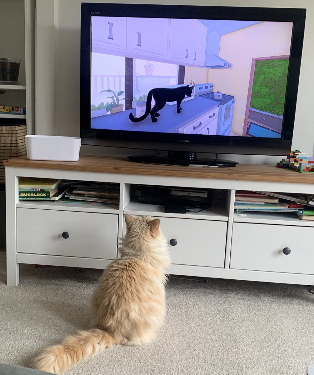 SignorDexter's tweet image. Italian 🇮🇹 word of the day is…….

VIDEOGIOCHI 
= VIDEOGAMES

sto guardando videogiochi 

Im watching videogames!