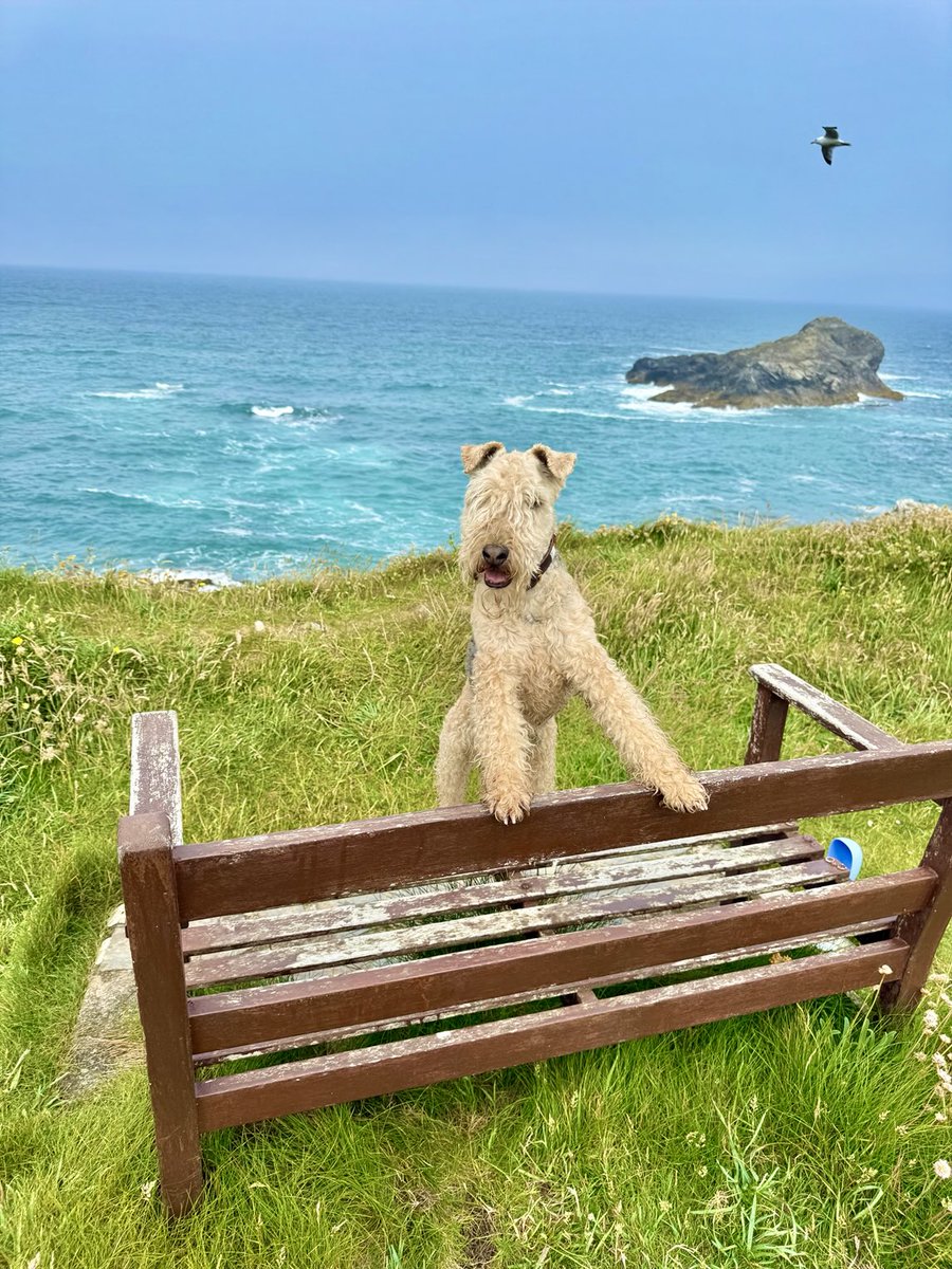 Happy Sunday everyone ❤️