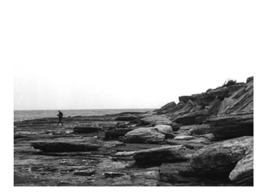 Goio Borge / ❤🏳‍🌈♻ tweet media