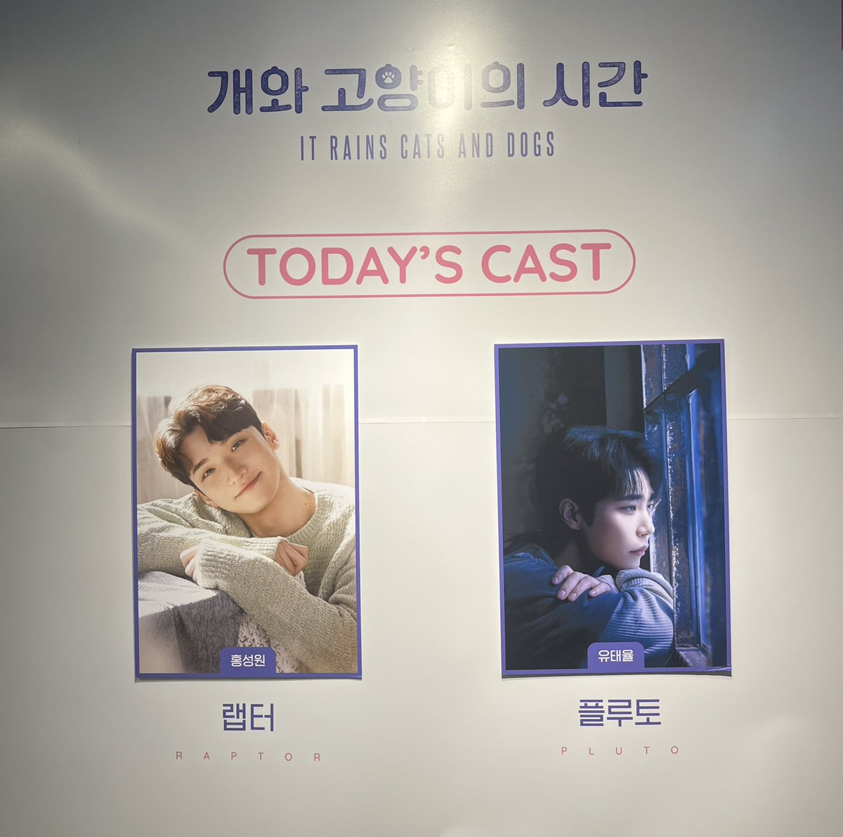 개와고양이의 시간
2025.06.29 (밤)
자첫