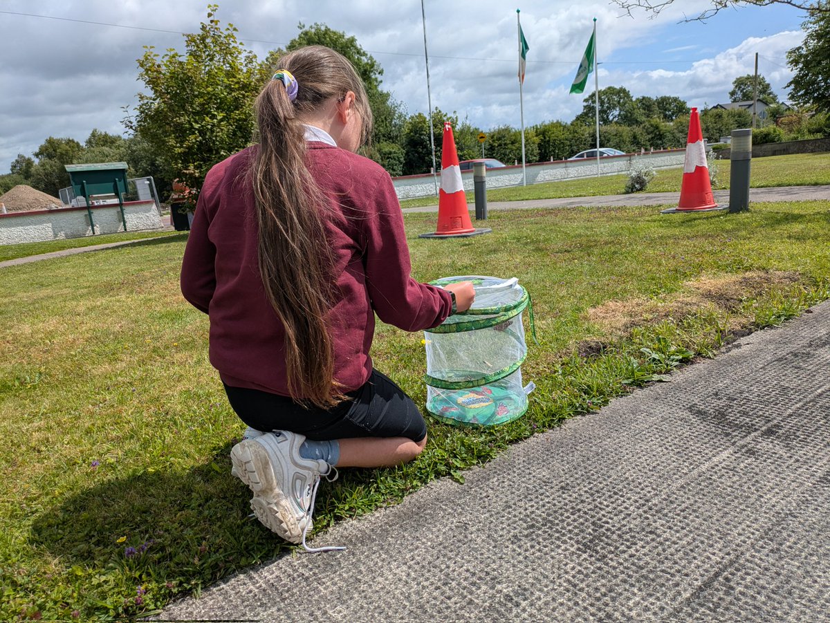 Robertstown National School tweet media