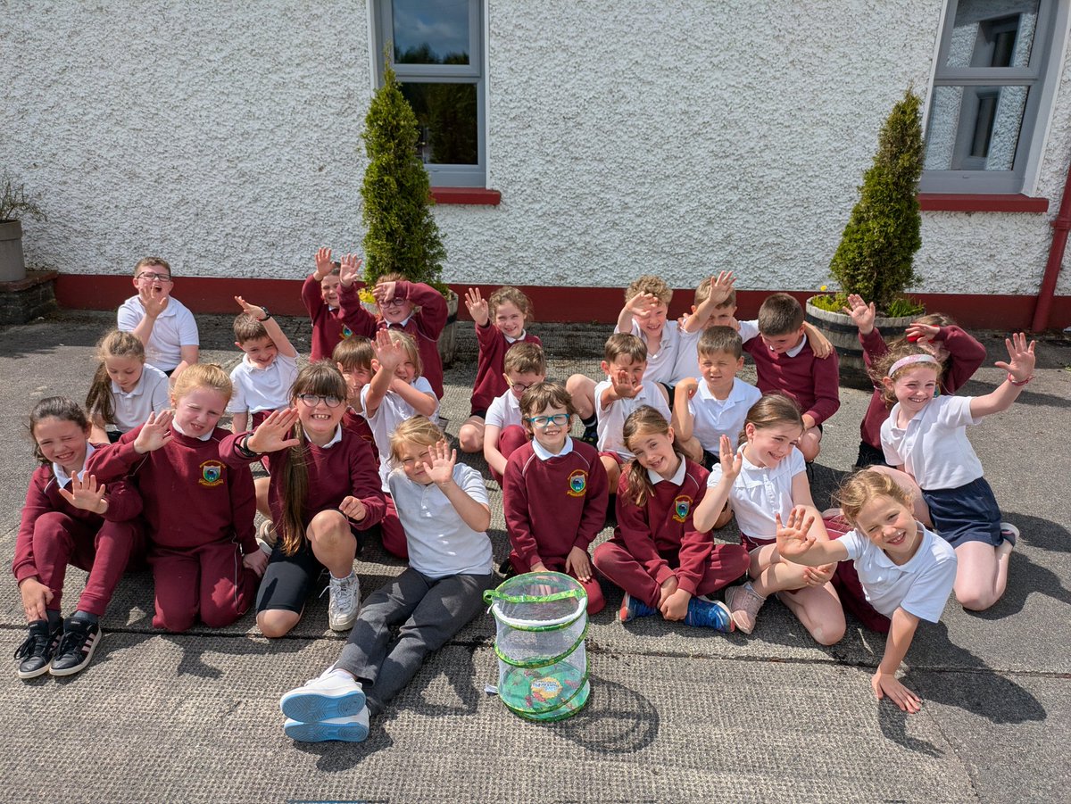 Robertstown National School tweet media