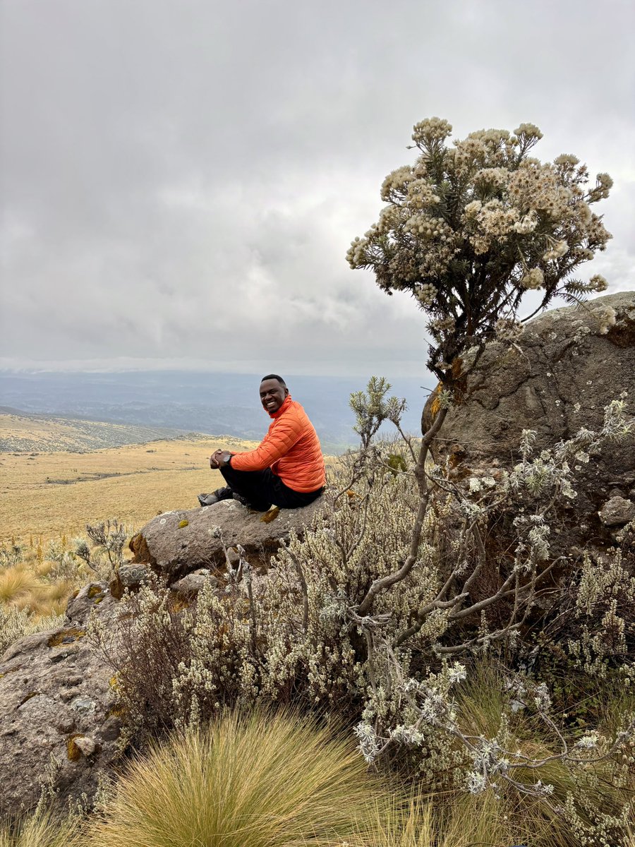 robertontrails's tweet image. Why do I hike every Saturday? If I don’t, the thoughts will be too loud and escape through my mouth. And Lord forbid they do, we both know you’ll think me mad. So let me hike! 😆

Why do you hike?