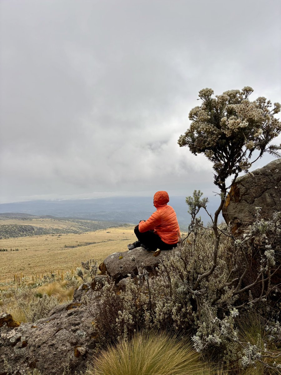 robertontrails's tweet image. Why do I hike every Saturday? If I don’t, the thoughts will be too loud and escape through my mouth. And Lord forbid they do, we both know you’ll think me mad. So let me hike! 😆

Why do you hike?