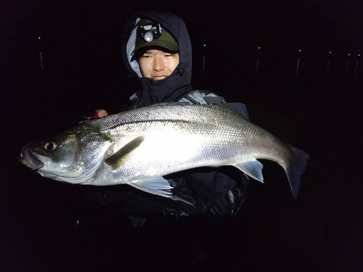kounosuke0293's tweet photo. 昨日もナイト追波！
3キャッチ！ https://t.co/3iS4ezLnHn