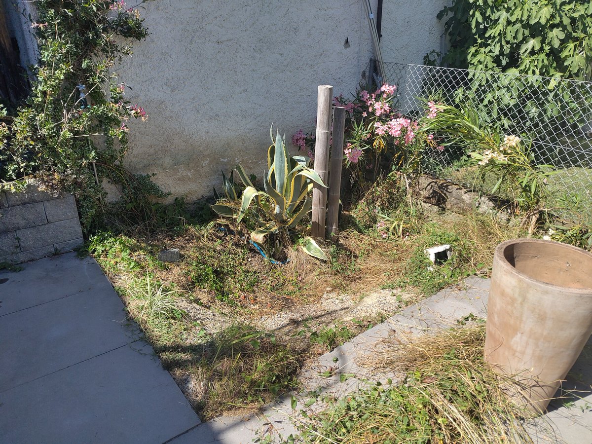 gemperlipascal's tweet image. Le jardinage, c&apos;est un baume pour l&apos;âme... 🌿🧘‍♀️
Avant 🌱 ➡️ Après 🌸🌻