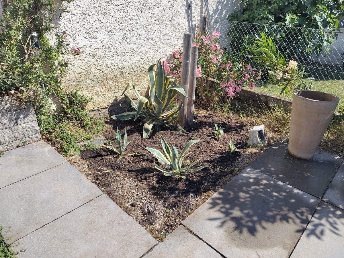 gemperlipascal's tweet image. Le jardinage, c&apos;est un baume pour l&apos;âme... 🌿🧘‍♀️
Avant 🌱 ➡️ Après 🌸🌻