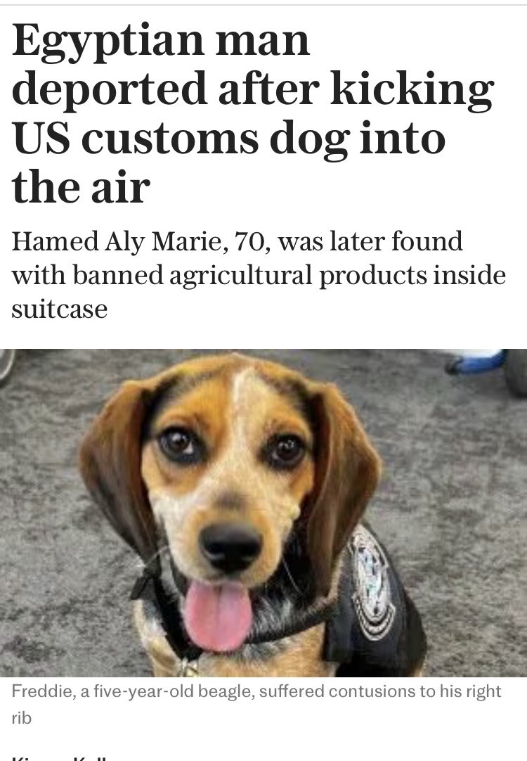 Ask yourself if this dreadful man would have been summarily deported if this had happened at a UK airport. I doubt it. Some judge would have ruled that in his country it was common practice and how could he have known any better?