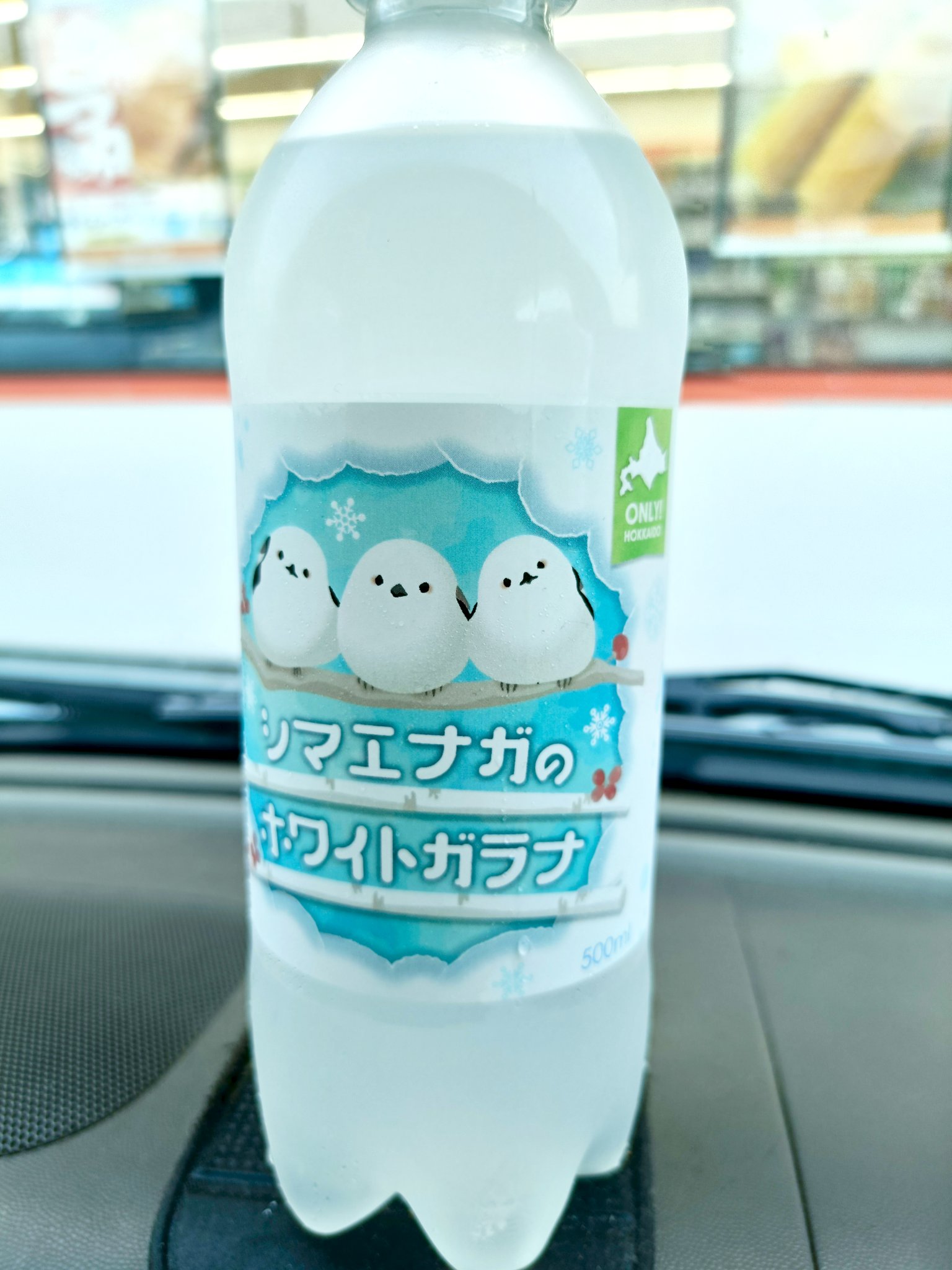 「除湿庫保管」美品✨シロナ、ボタン、ナナミ、ガラルの仲間たち まとめ売り 除湿庫保管」美品✨シロナ、ボタン、ナナミ、ガラルの仲間たち