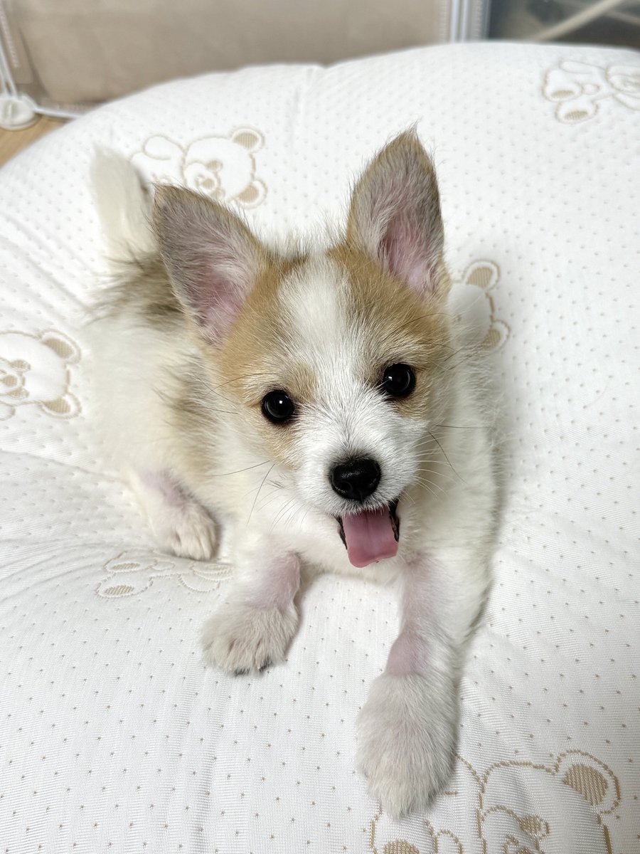 언니 내일 출근해야해❓ 안하면 안돼❓ ❓❓