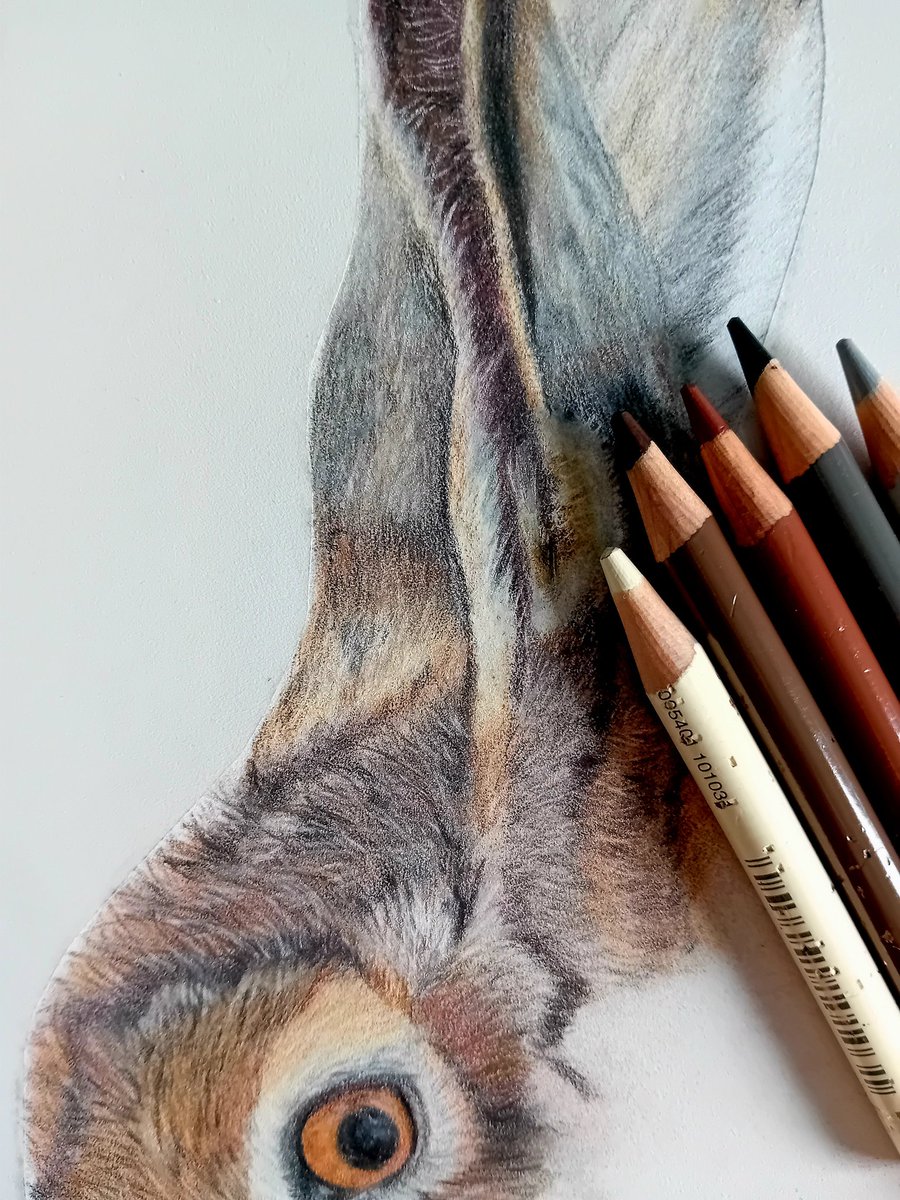 pamadamsart's tweet image. Work in progress — this little hare is slowly coming to life! 🐇✏️ Loving the details so far. Stay tuned for the finished piece! #WIP #HareDrawing #ArtInProgress #Sketching